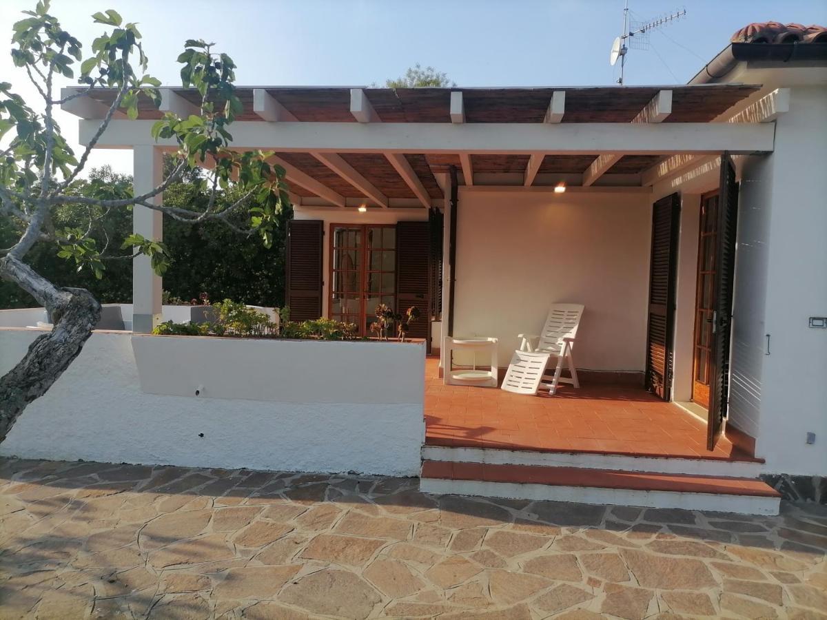 Le Palme Apartment Capoliveri  Bagian luar foto
