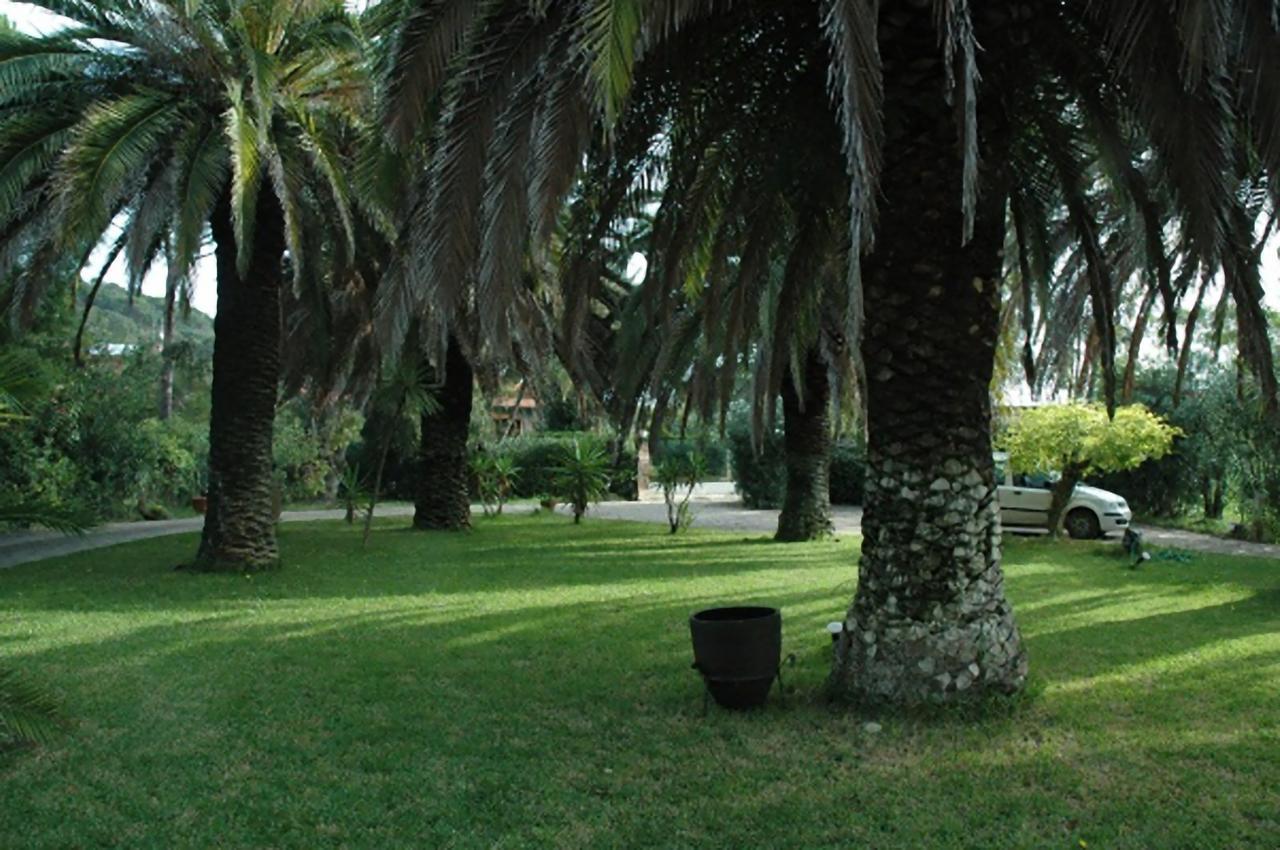 Le Palme Apartment Capoliveri  Bagian luar foto