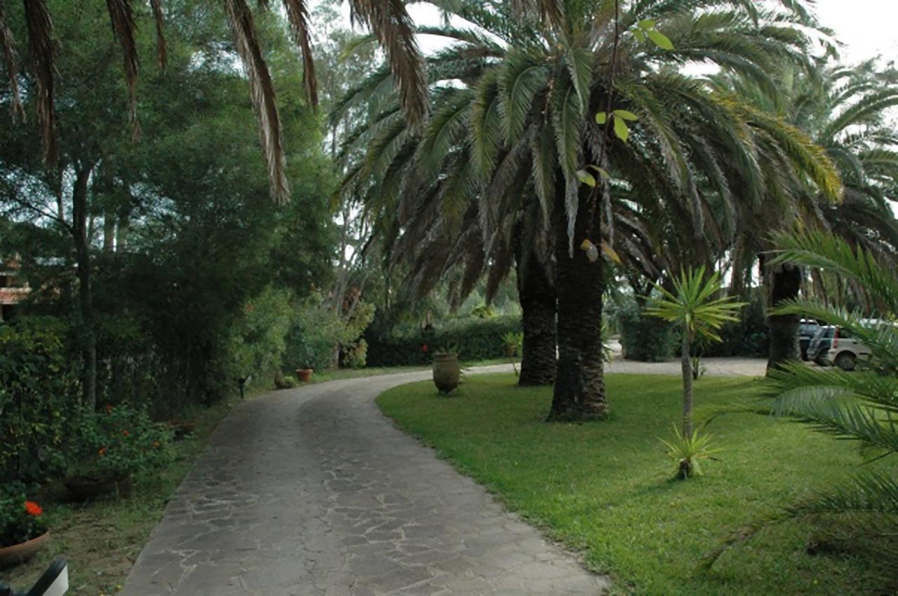 Le Palme Apartment Capoliveri  Bagian luar foto