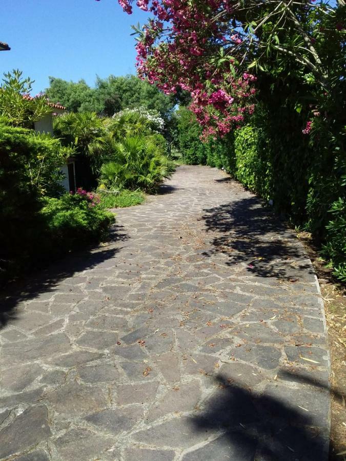 Le Palme Apartment Capoliveri  Bagian luar foto