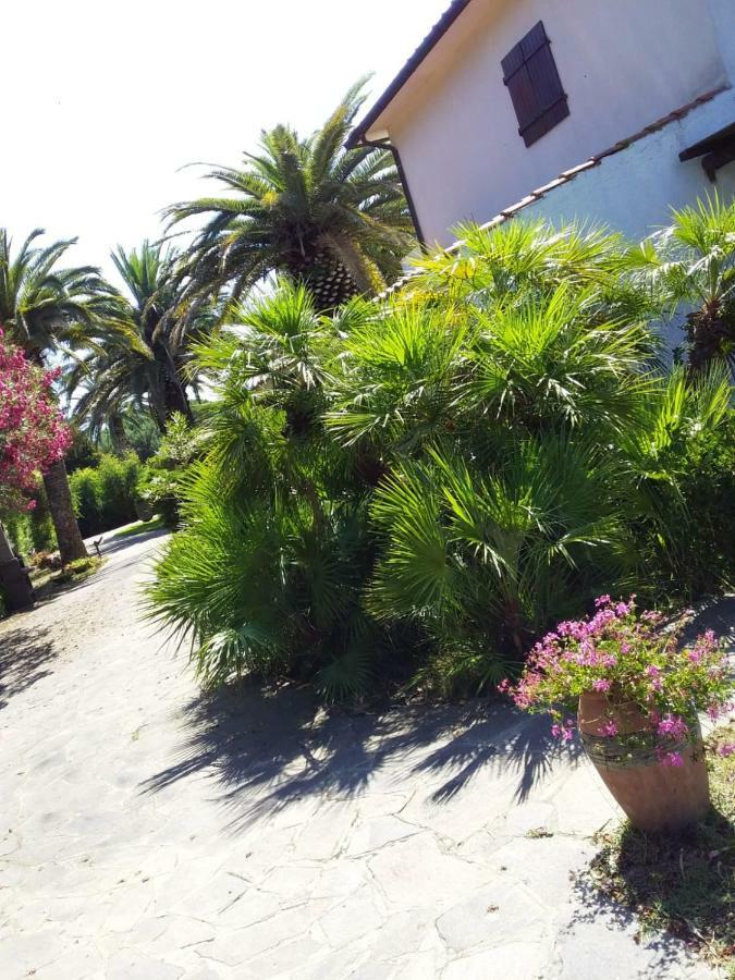 Le Palme Apartment Capoliveri  Bagian luar foto