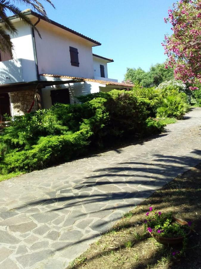 Le Palme Apartment Capoliveri  Bagian luar foto